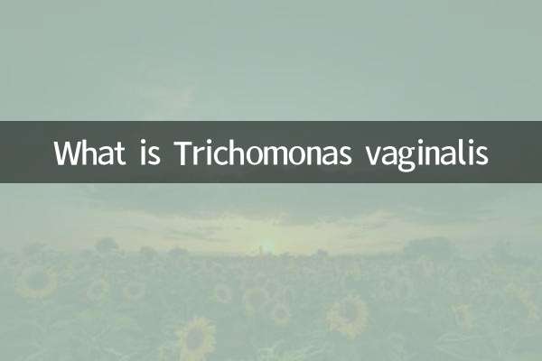 Qu'est-ce que Trichomonas vaginalis