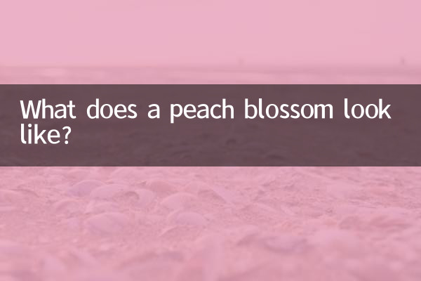 桃花长什么样子