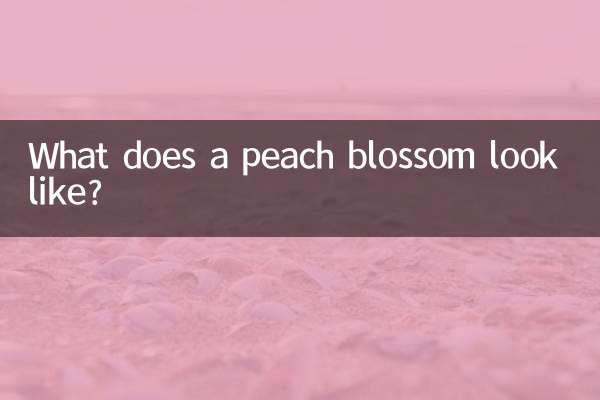 What does a peach blossom look like?