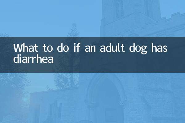 Cosa fare se un cane adulto ha la diarrea