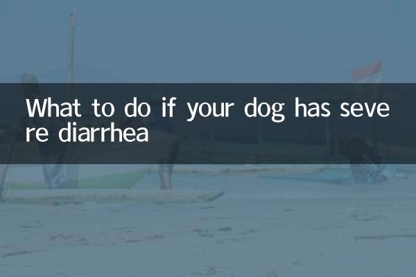 ماذا تفعل إذا كان كلبك يعاني من الإسهال الشديد