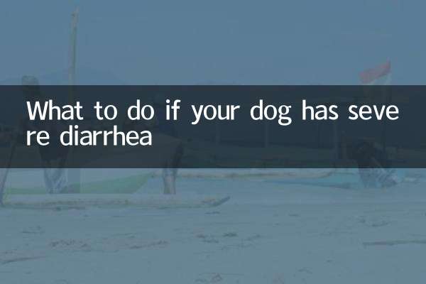 ماذا تفعل إذا كان كلبك يعاني من الإسهال الشديد