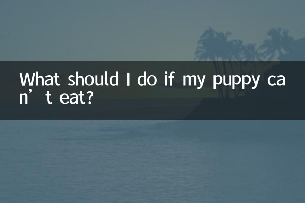 यदि मेरा पिल्ला नहीं खा सकता तो मुझे क्या करना चाहिए?