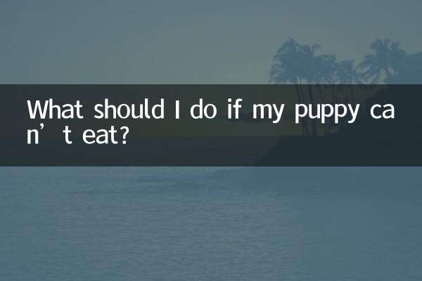 यदि मेरा पिल्ला नहीं खा सकता तो मुझे क्या करना चाहिए?