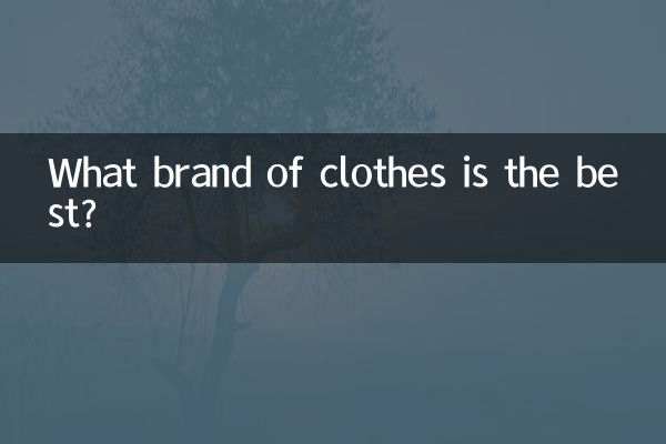 কোন ব্র্যান্ডের জামাকাপড় সেরা?