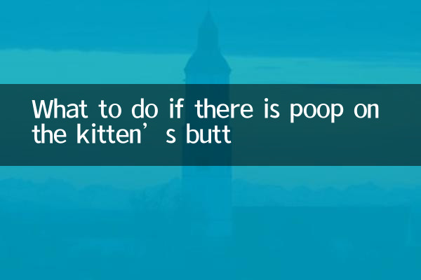 새끼 고양이 엉덩이에 똥이 묻어 있으면 어떻게 해야 할까요?