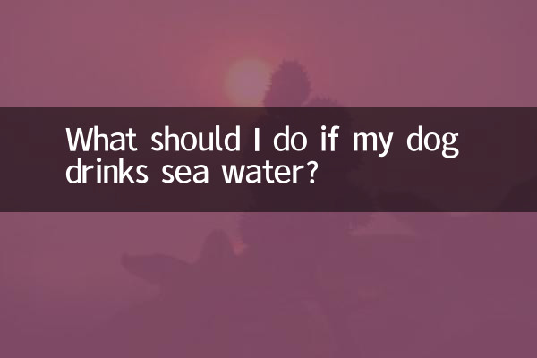 狗狗喝了海水怎么办