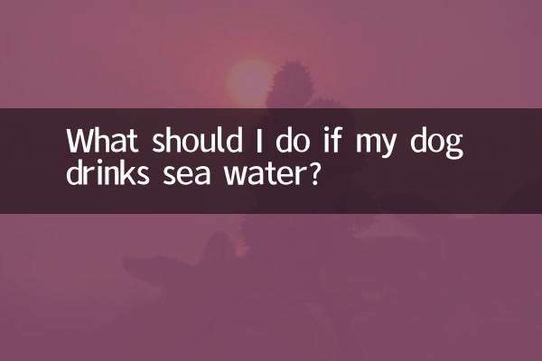 강아지가 바닷물을 마신다면 어떻게 해야 하나요?