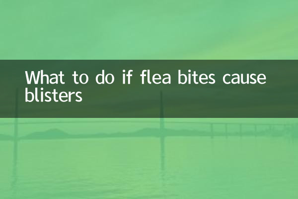 اگر نیش کک باعث ایجاد تاول شود چه باید کرد؟