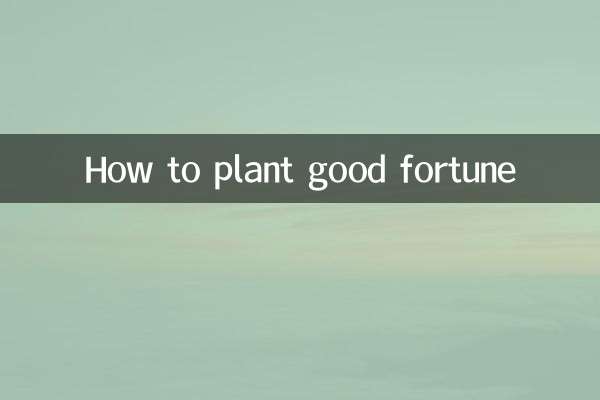 鸿运当头怎么种植