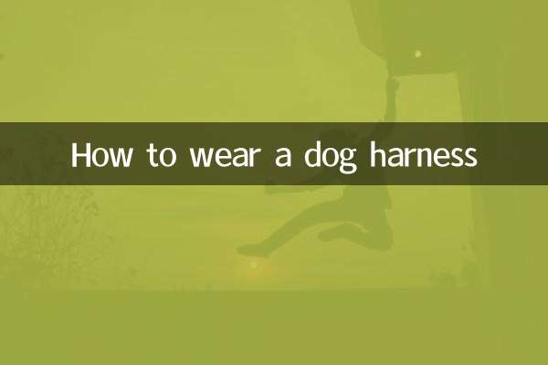 كيفية ارتداء حزام الكلب