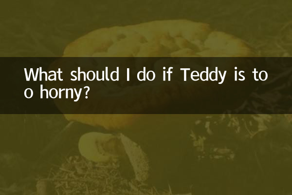 テディがエッチすぎる場合はどうすればいいですか?