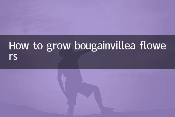 نحوه پرورش گل بوگنویل