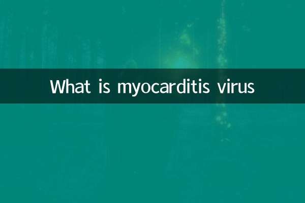Was ist Myokarditis -Virus