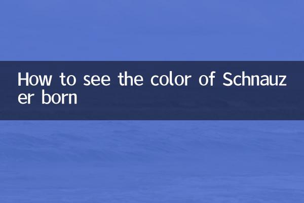 Cómo ver el color de Schnauzer nacido