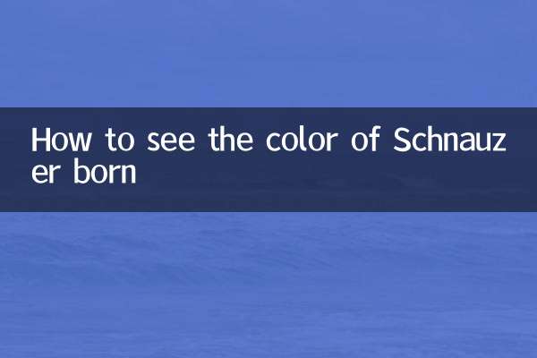 How to see the color of Schnauzer born