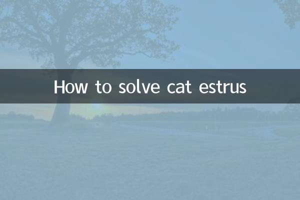 How to solve cat estrus