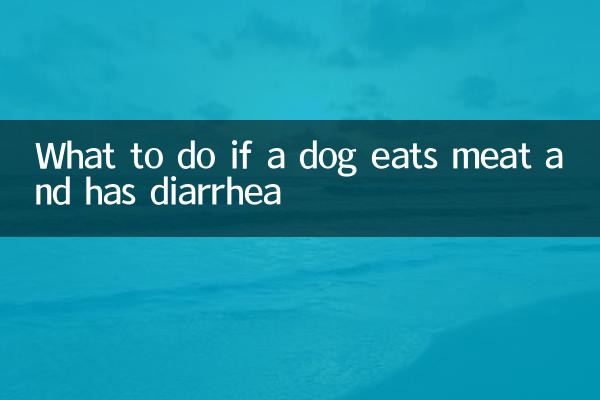 What to do if a dog eats meat and has diarrhea