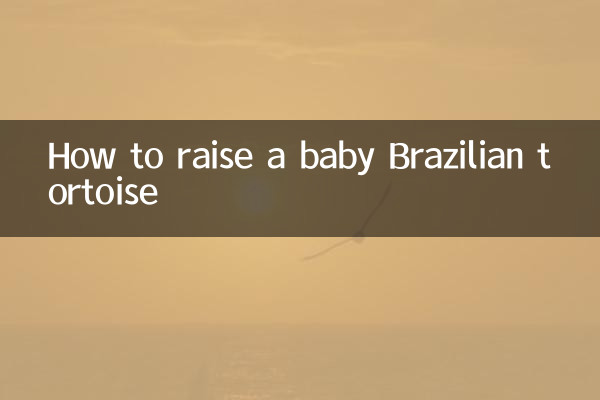 Wie man ein brasilianisches Schildkrötenbaby großzieht