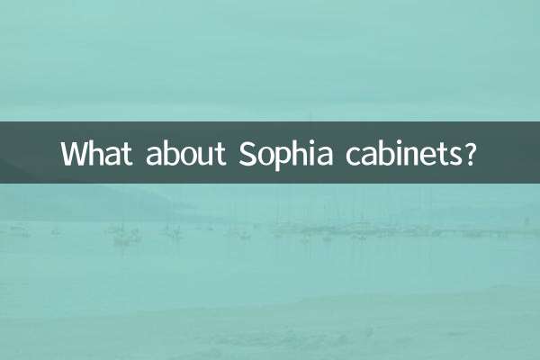 Sophia 캐비닛은 어떻습니까?