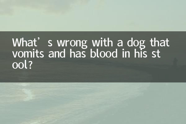 What’s wrong with a dog that vomits and has blood in his stool?