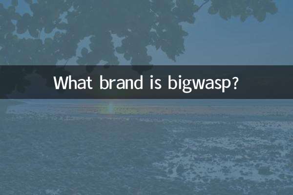 ما هي العلامة التجارية Bigwasp؟