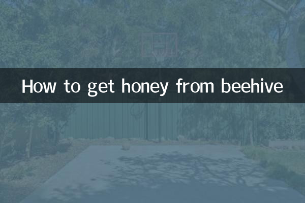 So gewinnen Sie Honig aus dem Bienenstock