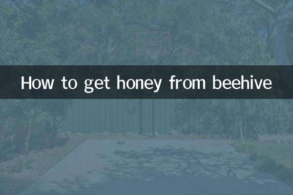 So gewinnen Sie Honig aus dem Bienenstock