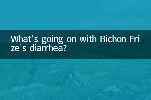 比熊拉稀怎麼回事