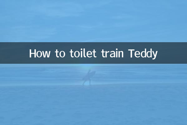 怎麼訓練泰迪大便