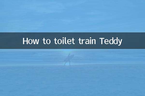 怎么训练泰迪大便