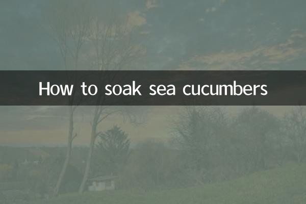 Wie man Seegurken einweicht
