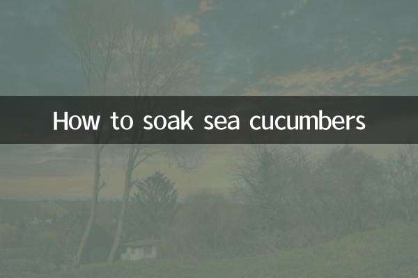 Cómo remojar pepinos de mar