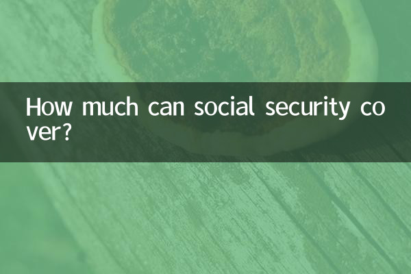 Quanto pode a segurança social cobrir?