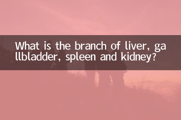 肝臓、胆嚢、脾臓、腎臓の枝は何ですか?