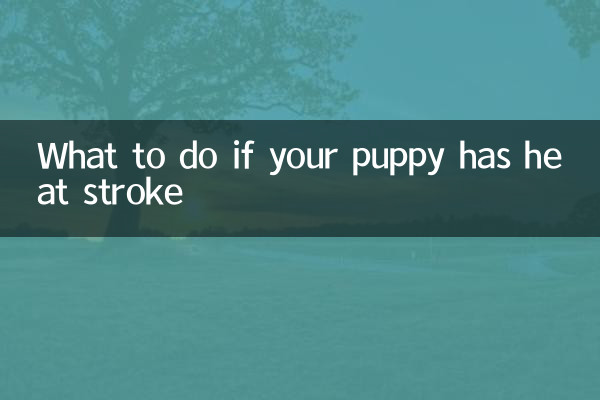 यदि आपके पिल्ले को हीट स्ट्रोक हो तो क्या करें?