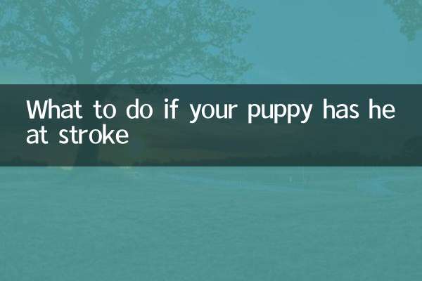 O que fazer se seu cachorro tiver insolação