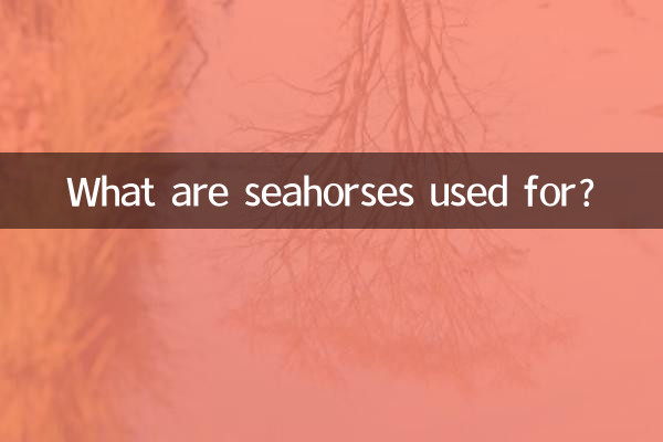 اسب دریایی برای چه مواردی استفاده می شود؟