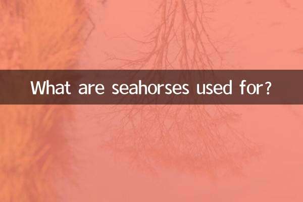 اسب دریایی برای چه مواردی استفاده می شود؟