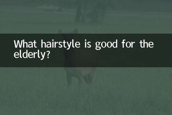 বয়স্কদের জন্য কি hairstyle ভাল?