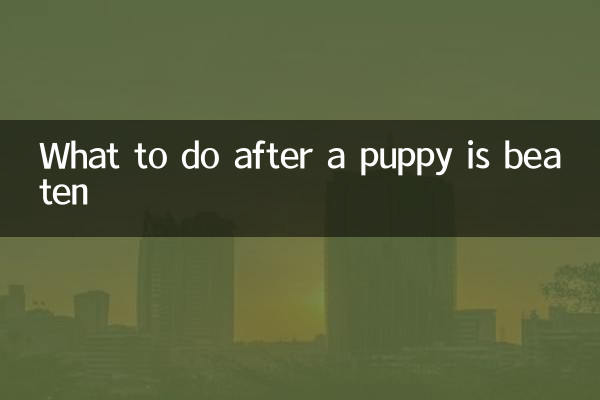 Was tun, wenn ein Welpe geschlagen wurde?