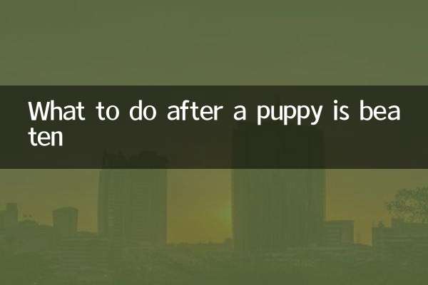 Was tun, wenn ein Welpe geschlagen wurde?