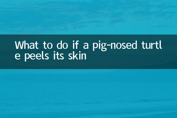 একটি শূকর-নাকযুক্ত কচ্ছপ যদি তার চামড়া খোসা ছাড়ে তবে কী করবেন