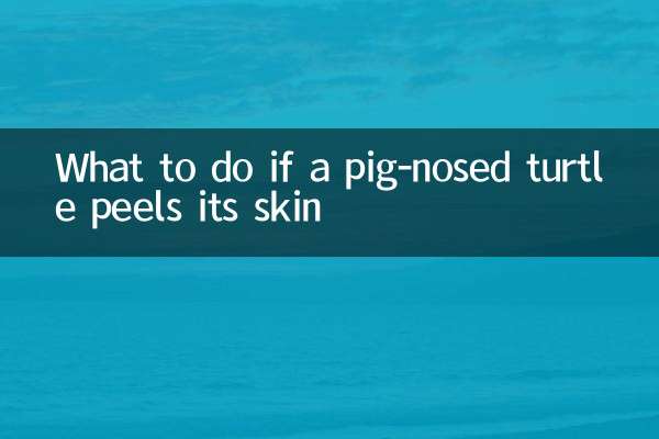 একটি শূকর-নাকযুক্ত কচ্ছপ যদি তার চামড়া খোসা ছাড়ে তবে কী করবেন