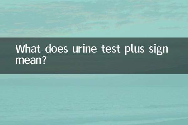 尿檢加號什麼意思