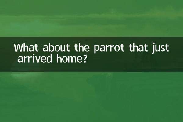 उस तोते के बारे में क्या जो अभी घर आया है?