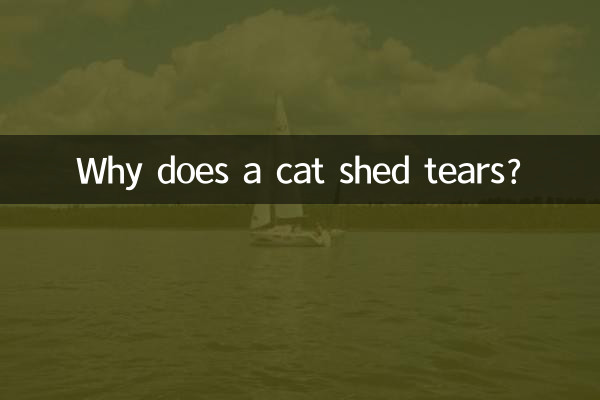 Why does a cat shed tears?