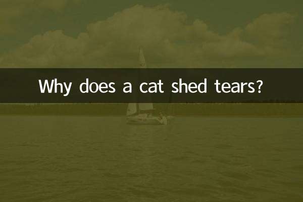 Why does a cat shed tears?