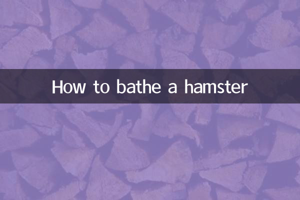 倉鼠要怎麼洗澡