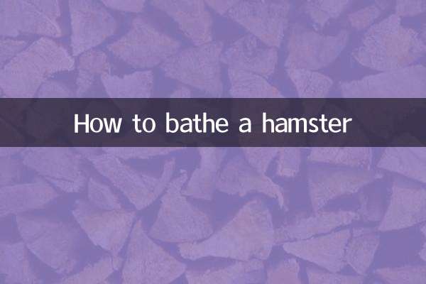 倉鼠要怎麼洗澡